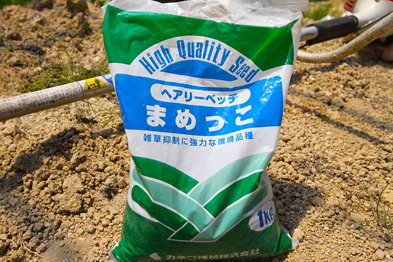 IMG_0566のコピー